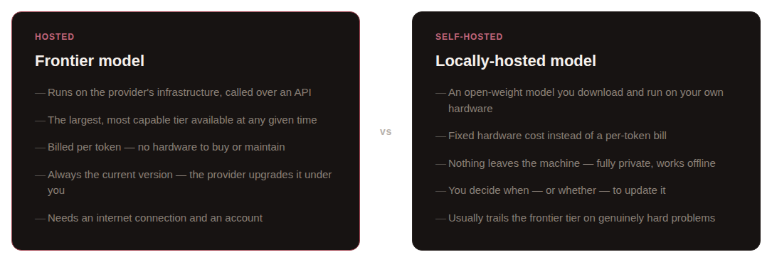 Comparison of frontier hosted models versus locally-hosted models, contrasting infrastructure, cost, currency, privacy, and capability