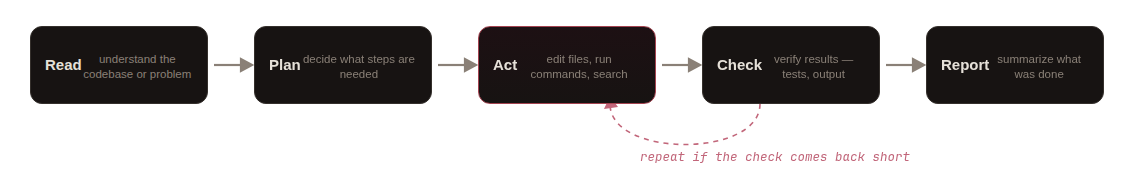 Diagram of the agentic loop: Read, then Plan, then Act, then Check, then Report, with a dashed arrow looping back from Check to Act labeled "repeat if the check comes back short"